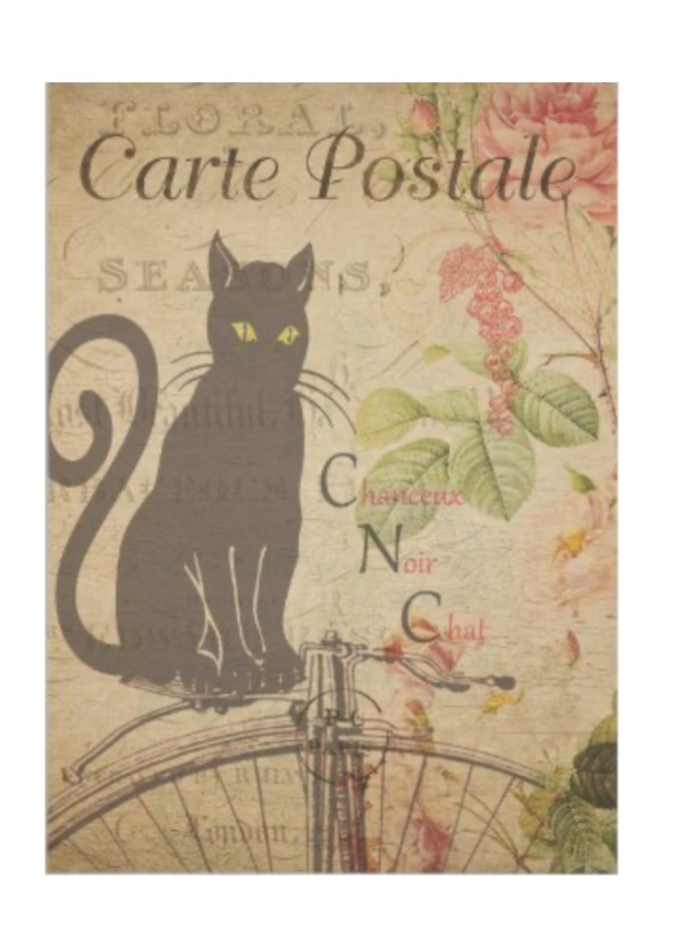 Carte Postale - Le Chat Noir - The Black Car Greeting Card & Envelope